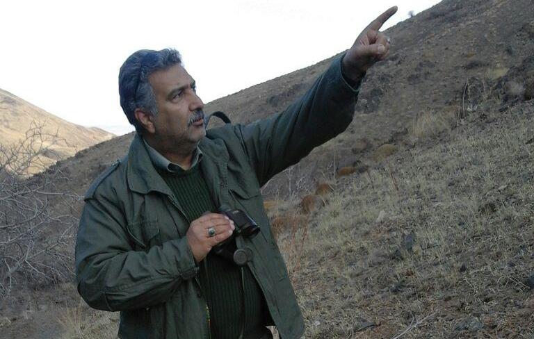 واکنش مدیر کل حفاظت محیط زیست خراسان رضوی به قطع درختان عظیم آباد