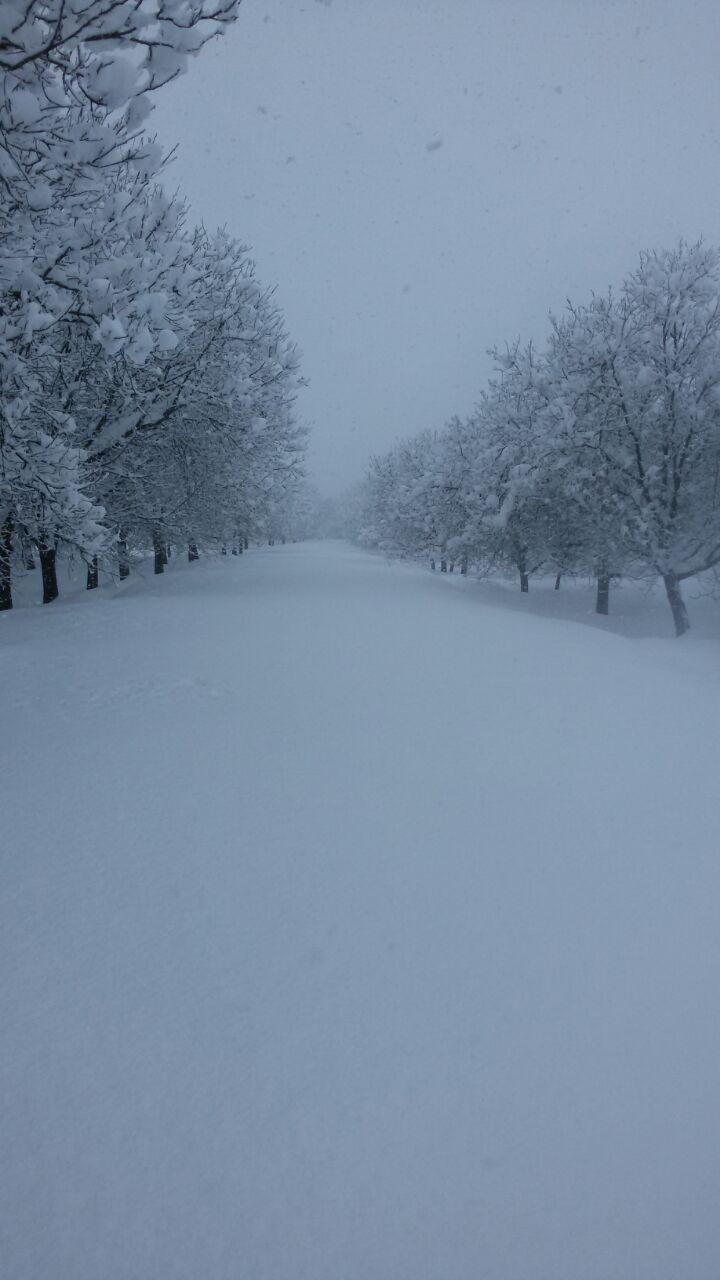 تعطیلی مدارس اردبیل در نوبت عصر