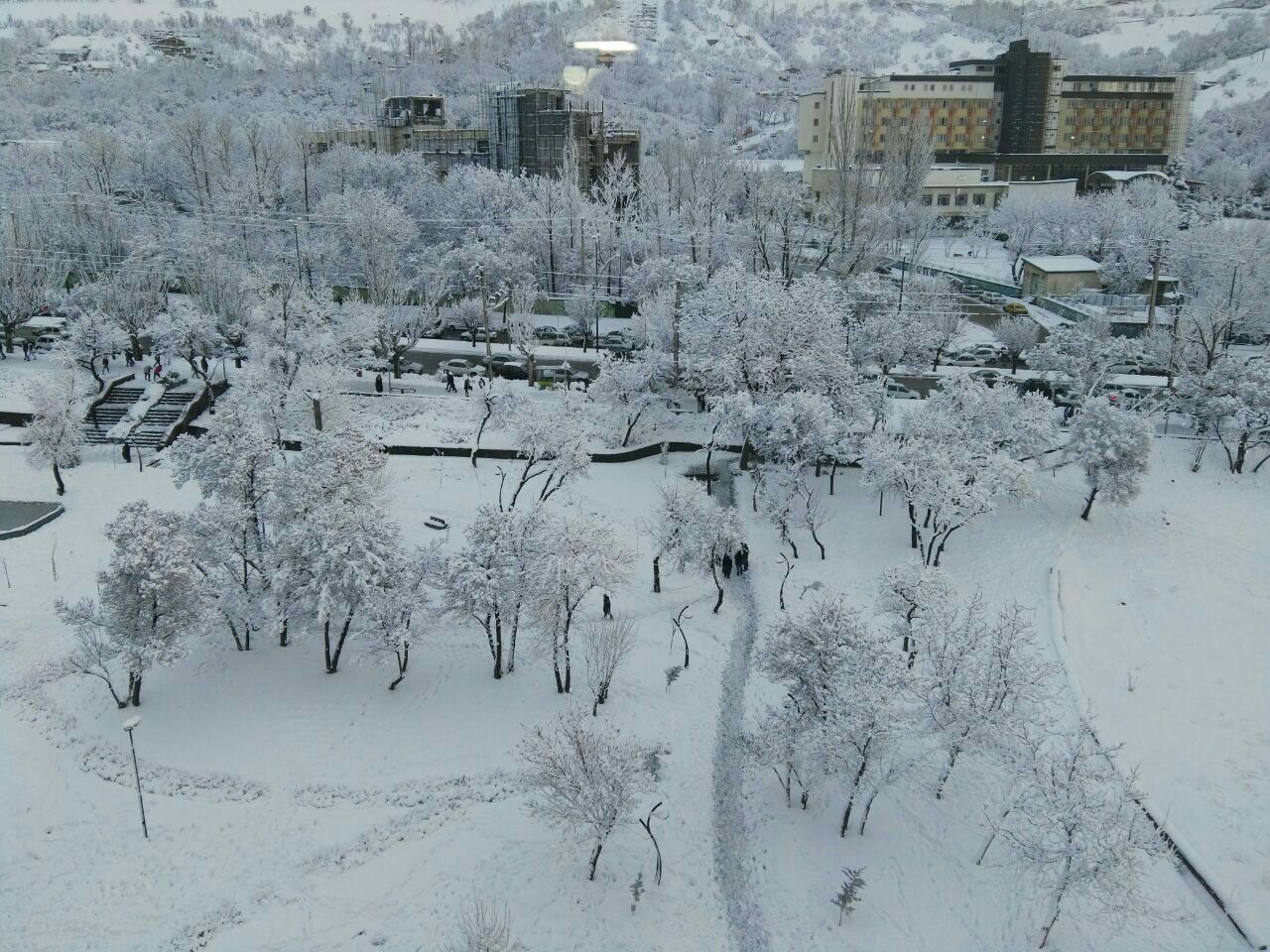 بارش مستمر برف در همدان + تصاویر