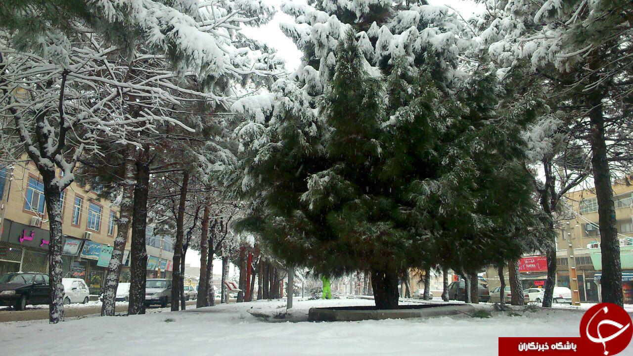 جامه سپید بر تن محمدیه + تصاویر