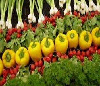 تنظیم زمان غذا خوردن به کاهش بروز بیماریهای قلبی و دیابت کمک می&zwnj;کند