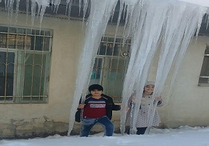 سقوط درخت غول&zwnj;پیکر روی پراید/جاری شدن سیل در فسا/ساحل&zwnj;خواری در محمودآباد + فیلم و تصاویر
