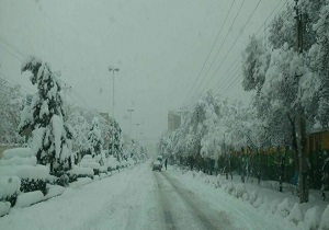 سقوط درخت غول&zwnj;پیکر روی پراید/جاری شدن سیل در فسا/ساحل&zwnj;خواری در محمودآباد + فیلم و تصاویر