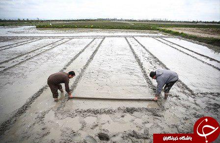 نگاهی گذرا به مهمترین رویدادهای 25 بهمن در مازندران