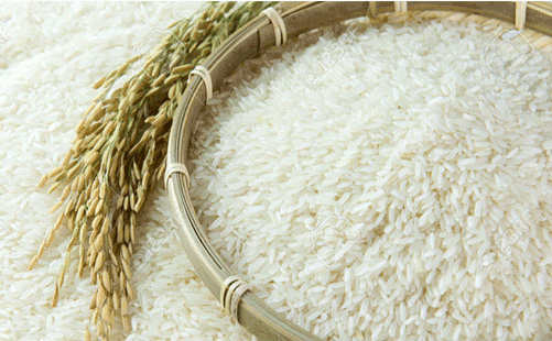 خودروهای دست دوم کمتر از 20 میلیون تومان / کدام کشورها خواهان شترهای ایرانی است؟