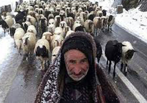 باران و سیل خسارتی به عشایر فارس وارد نکرده است‌
