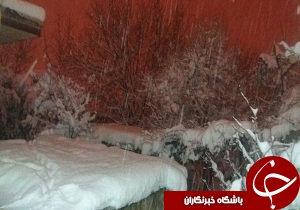 بارش ۲۱ سانتی متری برف در ابیک / ورود سامانه جدید از فردا