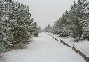 آسمان نیمه ابری
