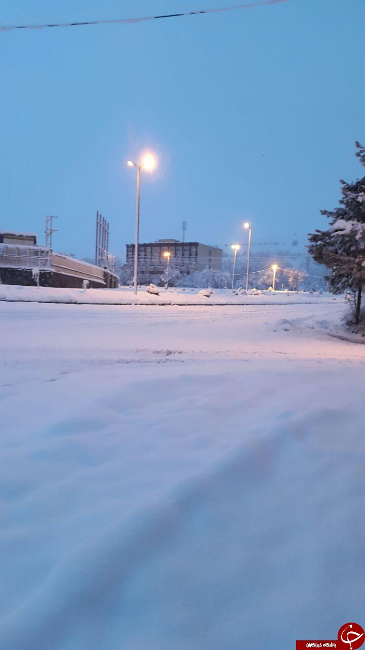 سفیدپوش شدن همدان از برف + تصاویر