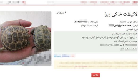 دستگیری فروشندگان شکارغیر مجاز در فضای سایبری