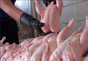 مرغ فروش متخلف از کار بیکار شد