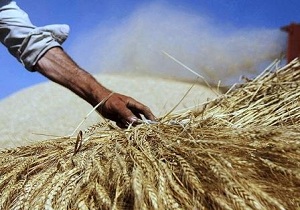 پرداخت یازده میلیارد ریال تسهیلات به کشاورزان بوئین زهرا