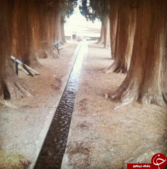روستای طرز شهرستان راور استان کرمان