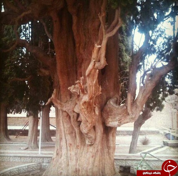 روستای طرز شهرستان راور استان کرمان