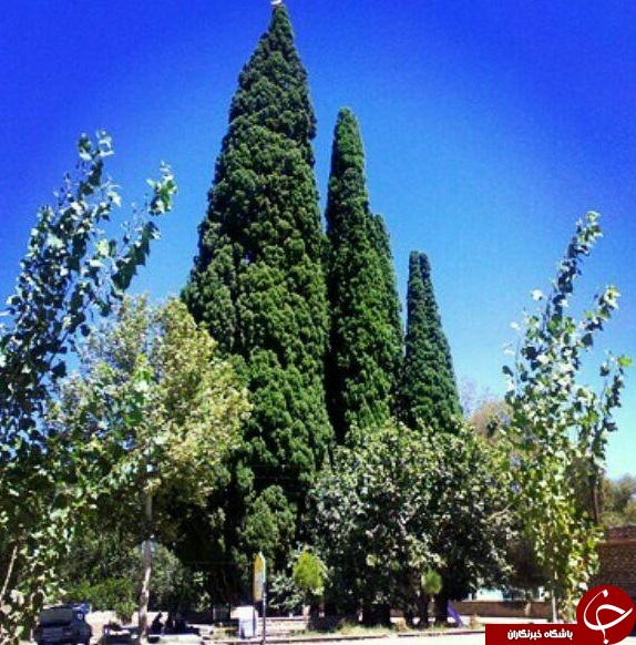طبیعت دیدنی روستای طرز + تصاویر
