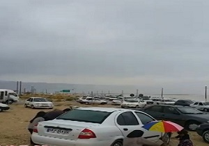 شادی مردم از بارش باران در لامرد + فیلم