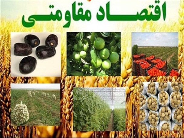 برای توسعه آبیاری قطره ای در هر هکتار 10 میلیون تومان سرمایه گذاری شده است