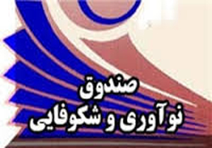 اعطای تسهیلات صندوق نوآوری در فارس