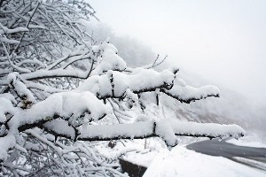 160میلیارد تومان خسارت در پی برف اخیر