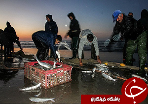نگاهی گذرا به مهمترین رویدادهای 27بهمن در مازندران