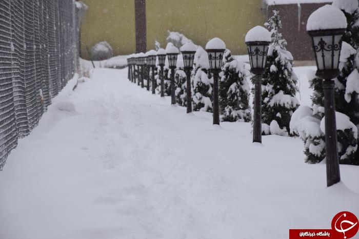 بارش زیبای برف و سفید پوش شدن آذربایجان غربی+تصاویر