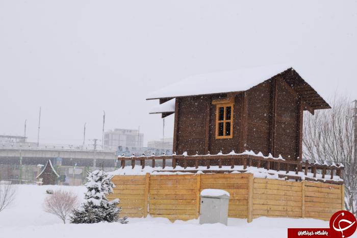 بارش زیبای برف و سفید پوش شدن آذربایجان غربی+تصاویر