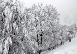 کاهش 12 درجه ای دما