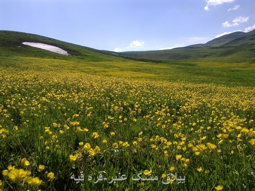 یکی از جاذبه های گردشگری ییلاق مشک عنبر &ndash;ورزقان