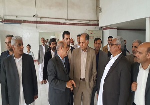 راه اندازی مجدد کارخانه فرآوری نخل طلایی بلوچ
