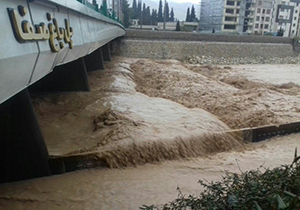 ارائه خدمات رسانی112 تیم شهرداری به شهروندان