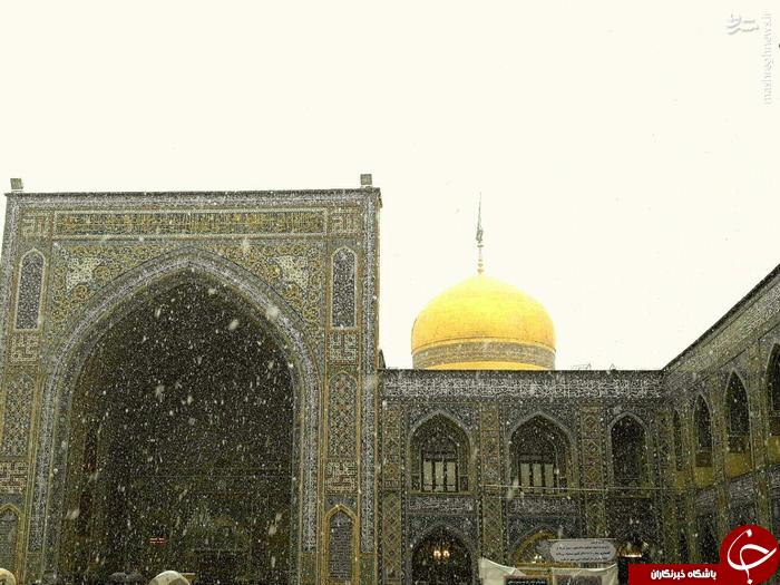 عکس/ بارش برف در حرم مطهر رضوی(ع)