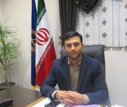 تمیز کردن و سبک کردن درختان و درختچه ها