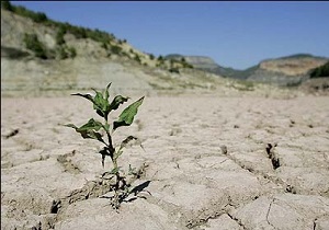 کاهش 48 درصدی میزان بارندگی در خلخال
