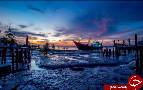 از تظاهرات زنان علیه ترامپ تا نمایش ببرهای سیرک مونت&zwnj;کارلو