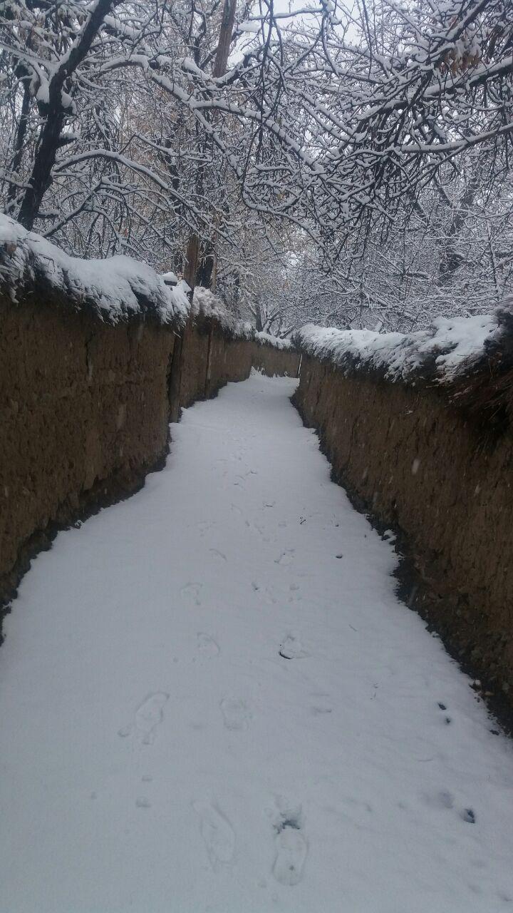 بارش ها در کرمان همچنان ادامه دارد+ تصاویر