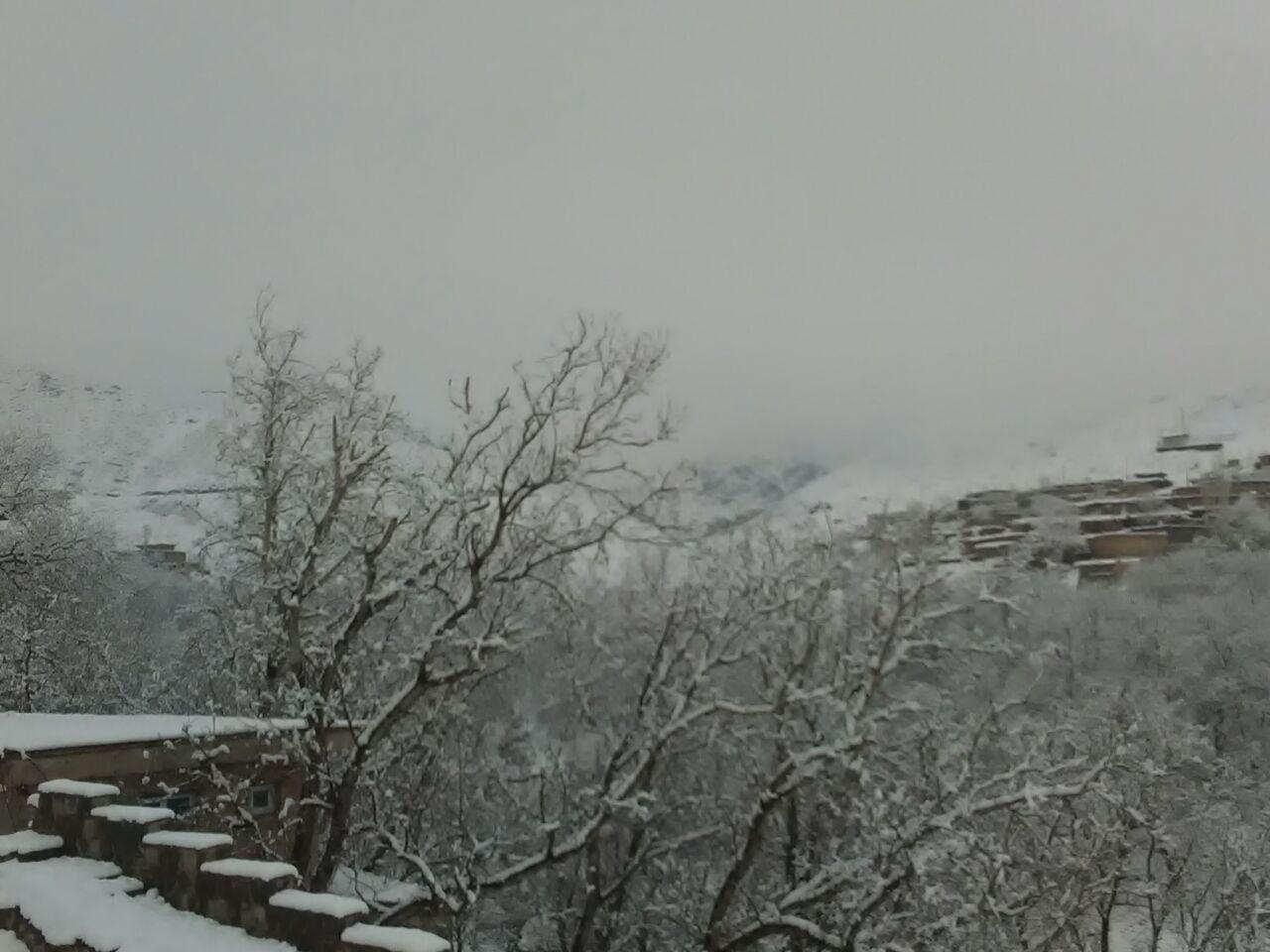 بارش ها در کرمان همچنان ادامه دارد+ تصاویر