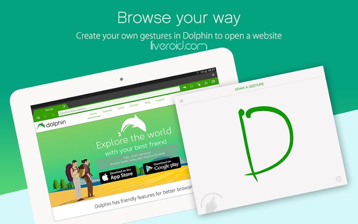 Dolphin &ndash; Best Web Browser