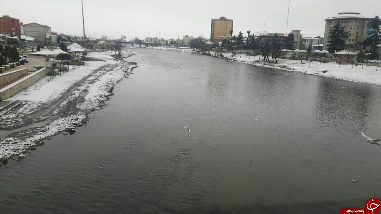 مناظری زیبا از بارش برف + تصاویر