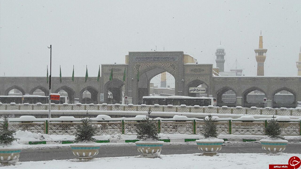 حرم مطهر امام رضا(ع) در زیر بارش برف + تصاویر