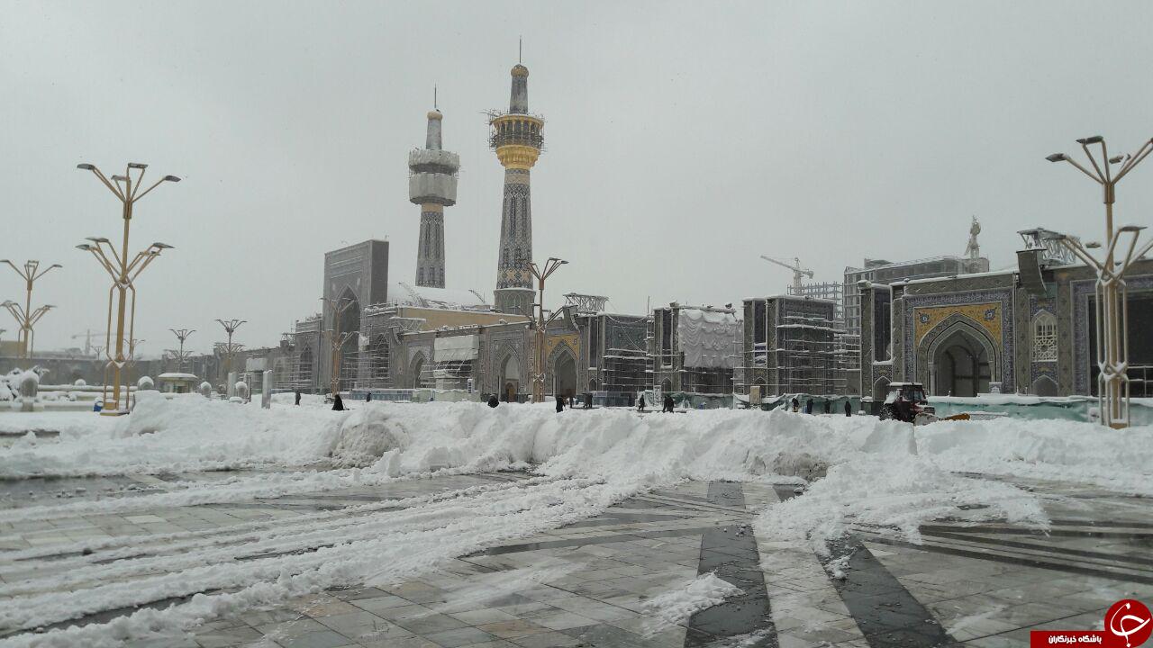 حرم مطهر امام رضا(ع) در زیر بارش برف + تصاویر