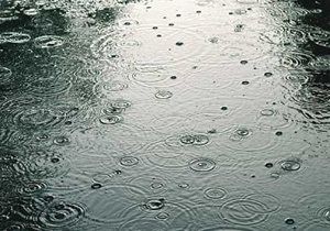 آخرین آمار بارندگی ها در استان