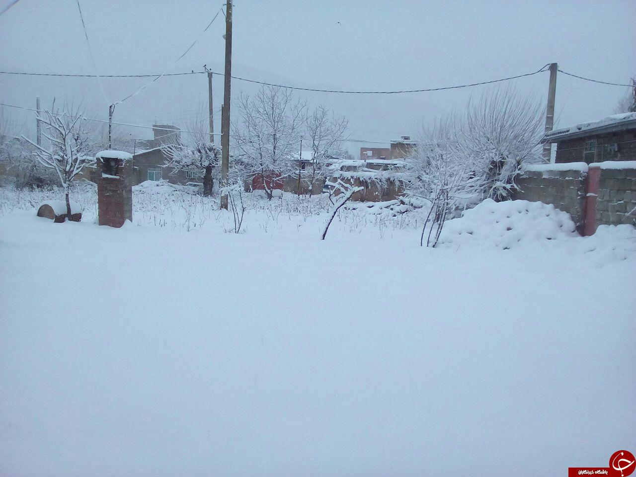 بارش سنگین برف در روستای تنگراه + تصاویر