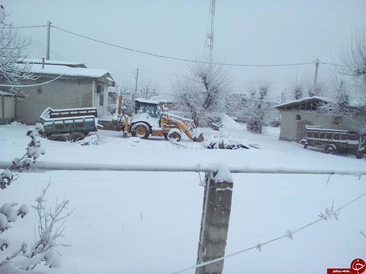 بارش سنگین برف در روستای تنگراه + تصاویر