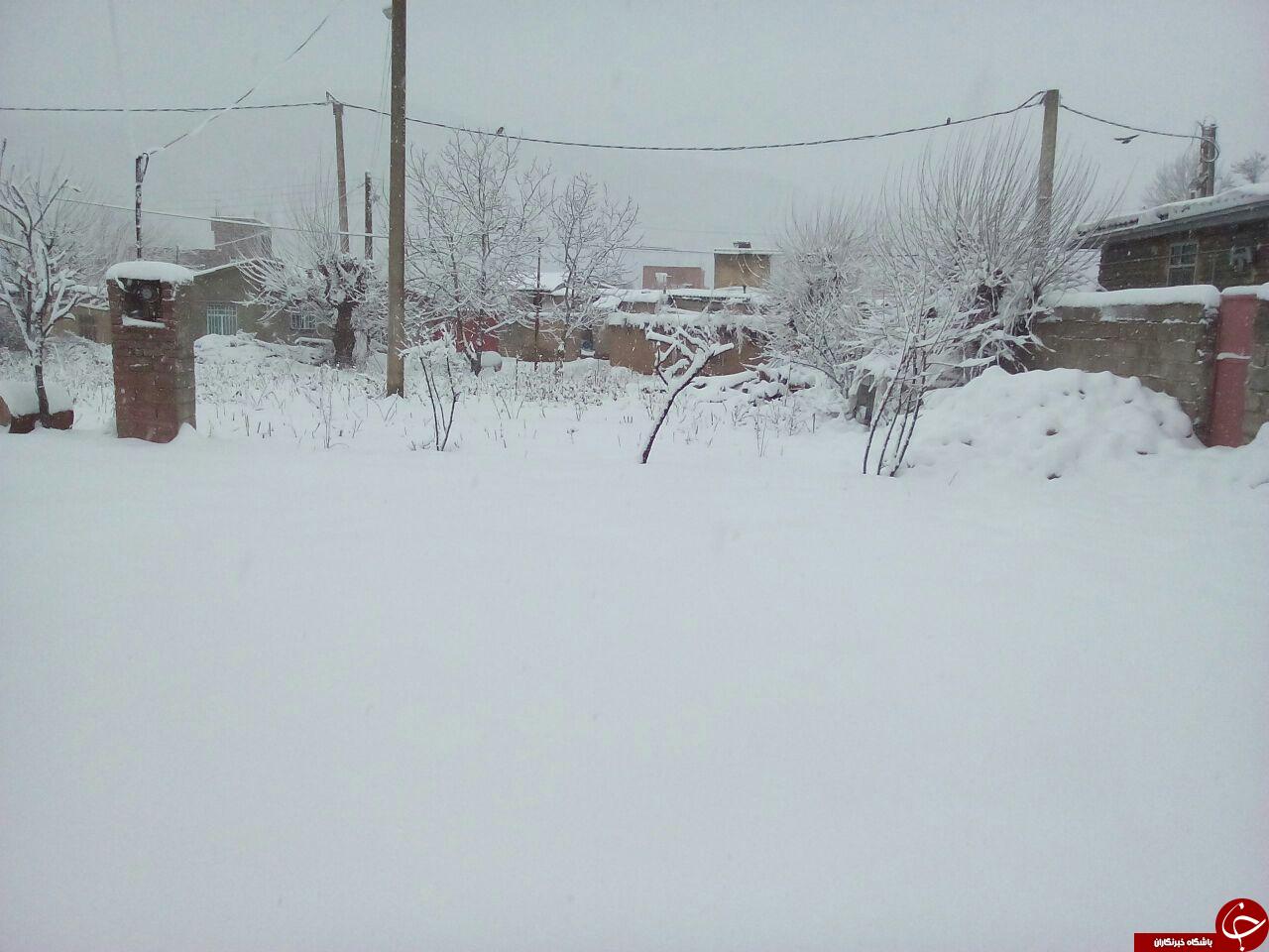 بارش سنگین برف در روستای تنگراه + تصاویر
