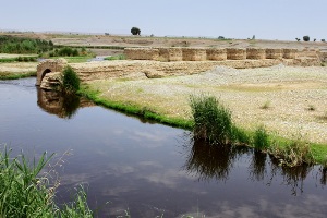 اختصاص اعتبار میلیاردی به محوطه باستانی جندی شاپور دزفول