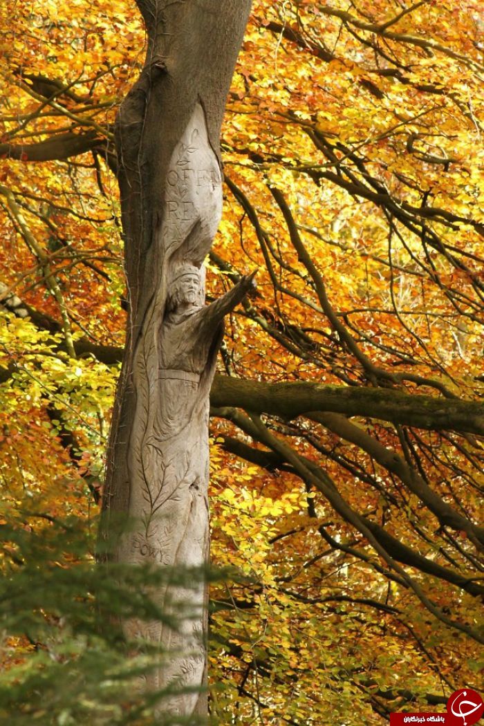 ساخت مجسمه های شگفت انگیز با اره برقی