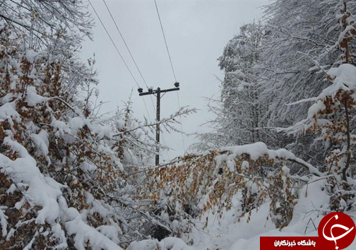 بلایای طبیعی ایران را درنوردید
