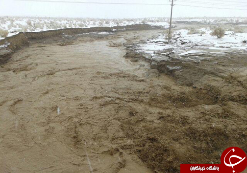 بلایای طبیعی ایران را درنوردید