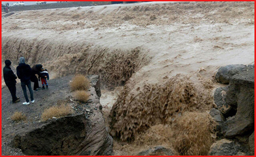 از قتل برادر همسر تا جولان بلایای طبیعی