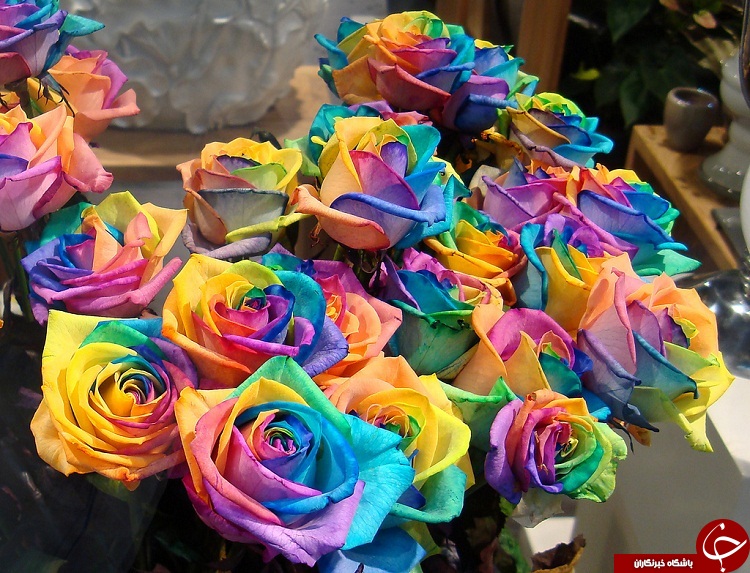 گل هایی که شما بودجه خرید آن را ندارید